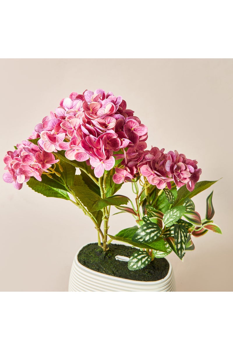 LIFESTYLE مرشّح العطر النباتي هيدريسا - Image 4